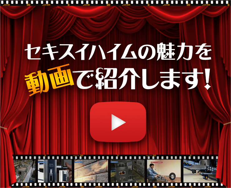 動画で紹介