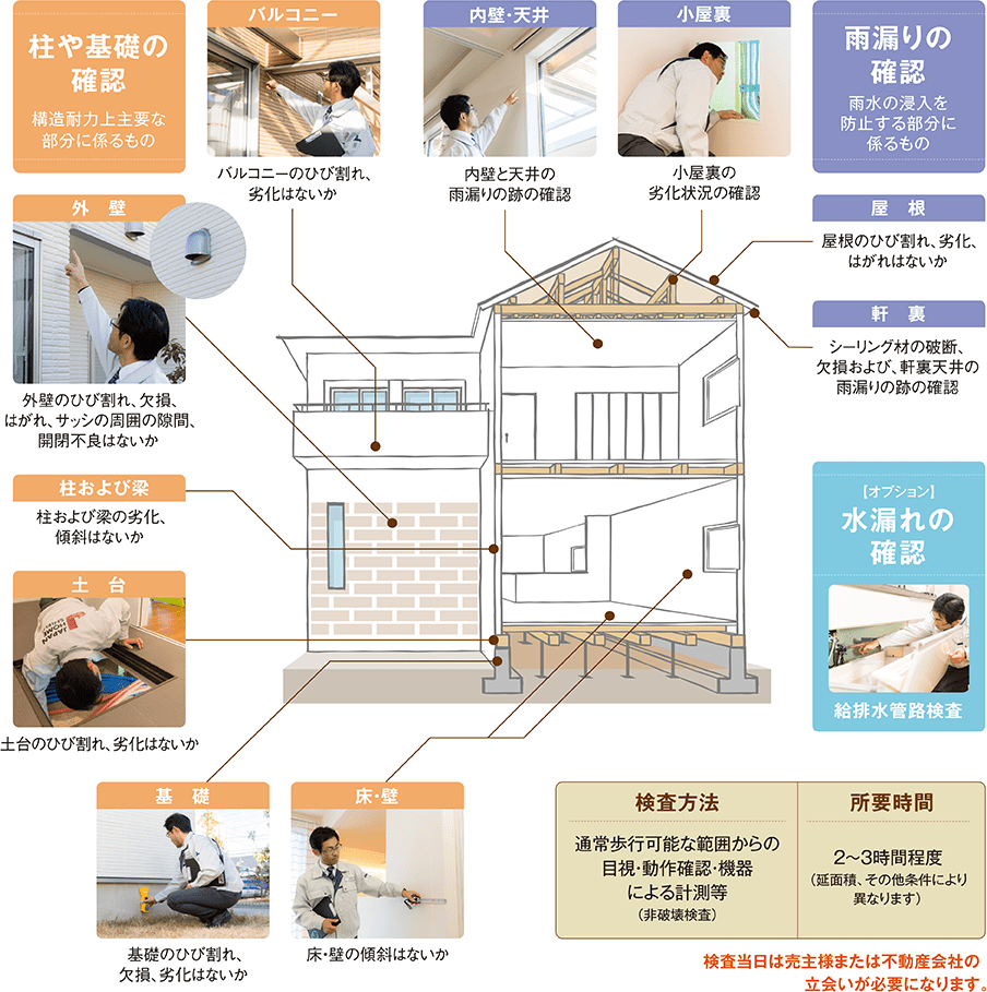 主な検査項目
